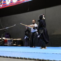 Iniciativa Nihon Budo Sai